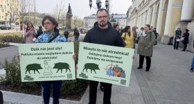 Protest w obronie dzików w Warszawie. „Stop rzezi dzików”