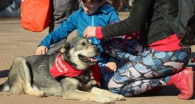 Adoptuj Warszawiaka na Mokotowie. Park Morskie Oko zamieni się w miejsce spotkań ludzi i psów ze schroniska