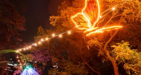 Park Świętokrzyski w nowej, całorocznej odsłonie: świetlny „tajemniczy ogród” rozbłyśnie w sercu stolicy