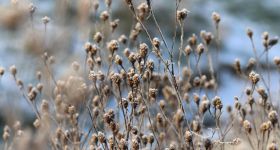 Warszawa przygotowuje się na kolejną falę mrozów