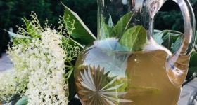 Przepis na domową lemoniadę z kwiatów czarnego bzu od KGW "W Rumiankowym Ogrodzie"
