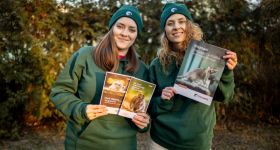 Fundacja Mushika rusza z kampanią „Jestem...” na ulicach Warszawy i publikuje pierwszy w Polsce raport poświęcony szczurom wolno żyjącym