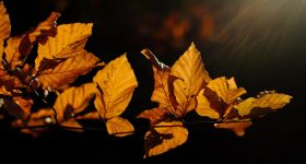 Prognoza pogody dla Warszawy na ten tydzień