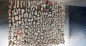 Przyłapany na lotnisku Chopina z rafą koralową w torbie