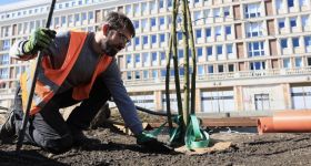 Plac Powstańców Warszawy zazieleni się jeszcze w tym roku. Ruszyło sadzenie drzew