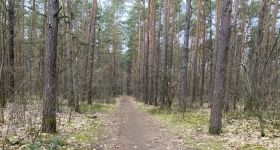 Kampinoski Park Narodowy wprowadza zakaz używania ognia. Powodem wysokie zagrożenie pożarowe