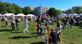 Zwierzęta w wielkim mieście - piknik rodzinny