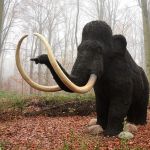 Wielkie ssaki epoki lodowcowej - wystawa - Warszawskie ZOO, ul. Ratuszowa 1/3