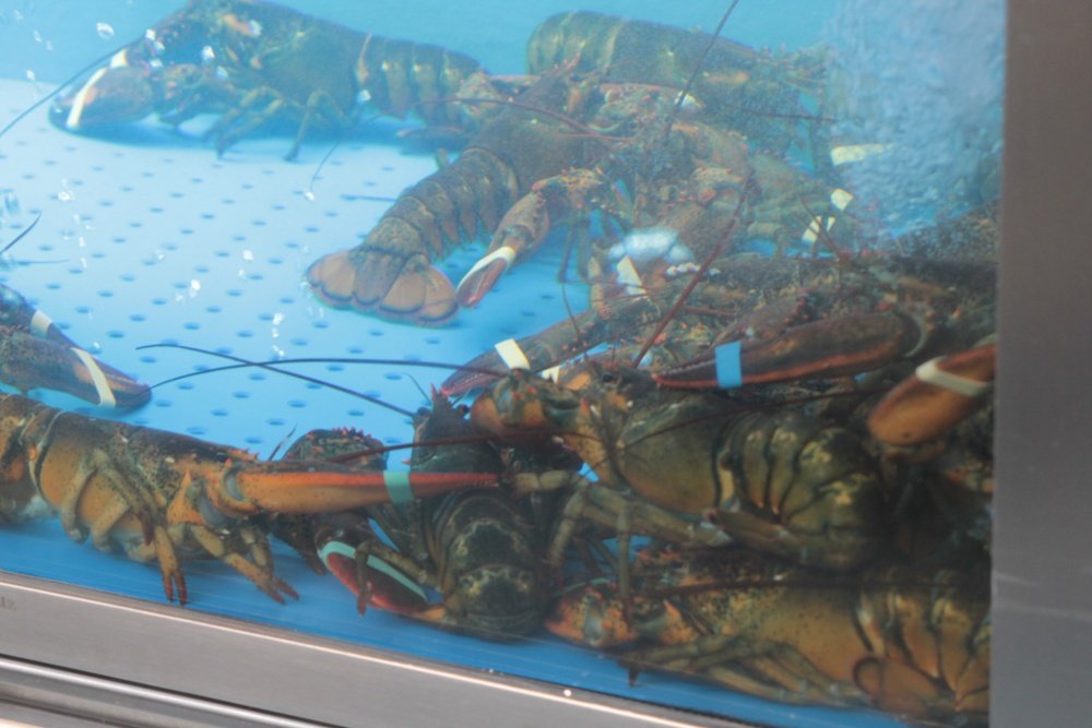 Makro w Alejach Jerozolimskich znów otwarte
