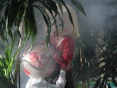 Sonata Widm w Nowy Teatrze