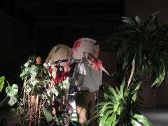 Sonata Widm w Nowy Teatrze